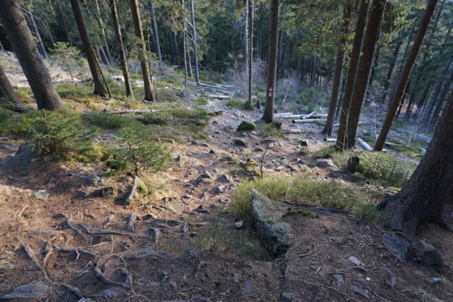 Anstiegsweg zum Südgipfel