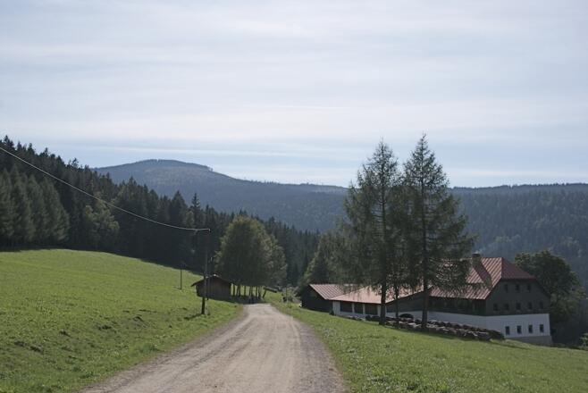Weg nach der Mooshütte mit Blick zum Kleinen Arber