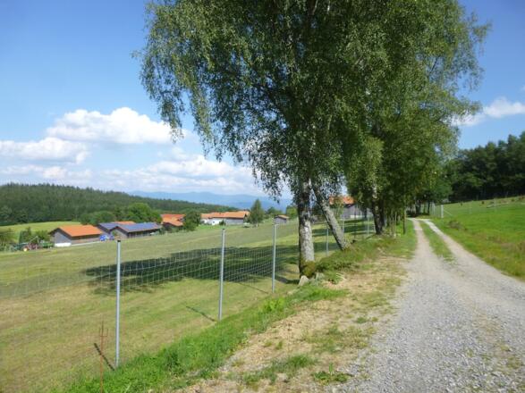 Münchshöfen mit Blick zum Großen Arber