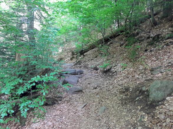 Steig zu den Wasserfällen