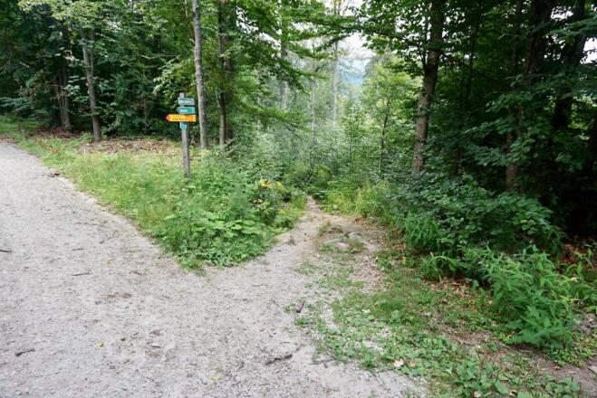 Abzweigung rechts vom Forstweg zum Pfad zum Großen Arbersee