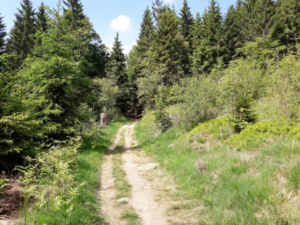 Wanderweg zum Prellerhaus