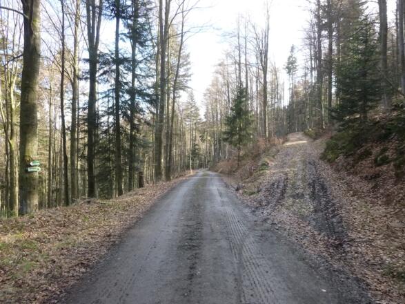 Abzweigung von der Forststraße  rechts bergauf nach Ödwies/Hirschenstein