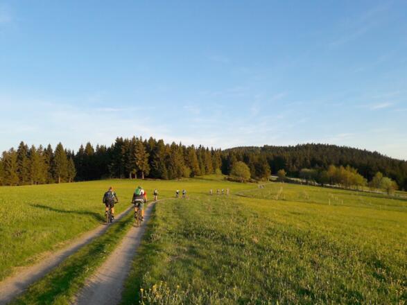 Ahornwies mit Blick zum Pröller