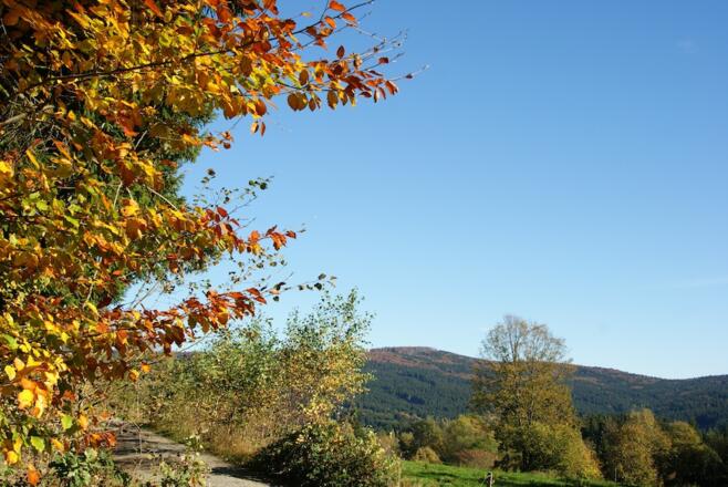 Blick zum Hirschenstein vor Hilm