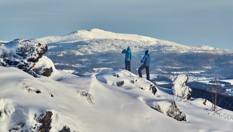 Schneeschuhwandern am Silberberg