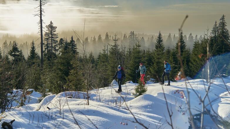 Schneeschuhwanderung durch die Wälder