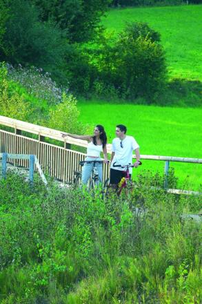 Radfahrer genießen Panorama des Regental-Radweges