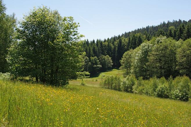 Bachlandschaft vor Grünmühl