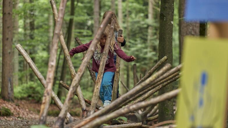 Unterwegs auf der Ameisenstraße