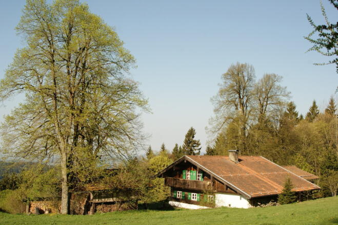 Waldlerhaus bei Schuhchristleger