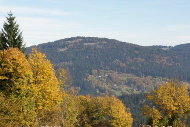 Käsplatte von Riedelswald