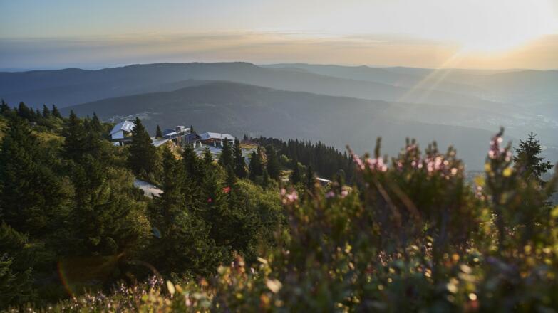 Ausblick auf Bergstation