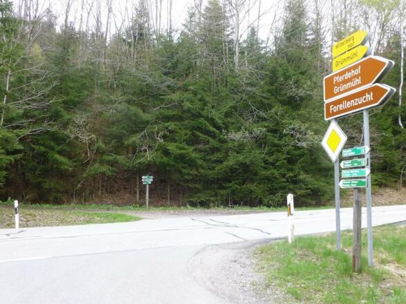 Staatstraßen-Querung bei Grünmühl