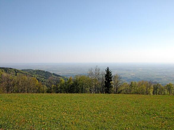 Aussicht von Grandsberg