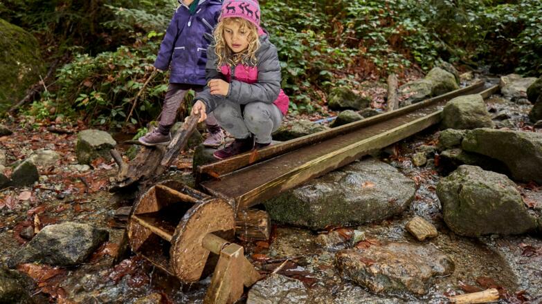 Erkundung der Ameisenstraße