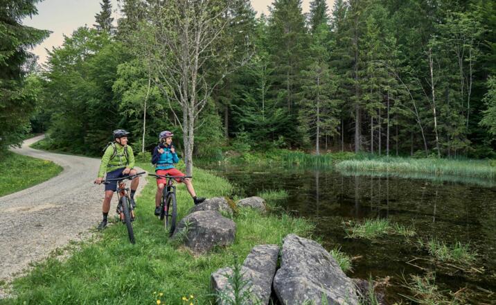 Historischer Quarzbruch