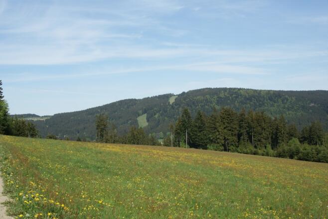 Pröller von Maibrunn am Weg nach Klinglbach