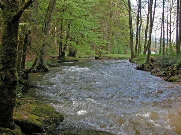 Perlbach bei Buchamühl