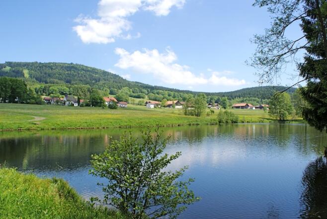 Klinglbach-Weiher mit Blick auf Klinglbach