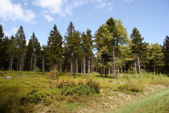 Wegabschnitt im Anstieg