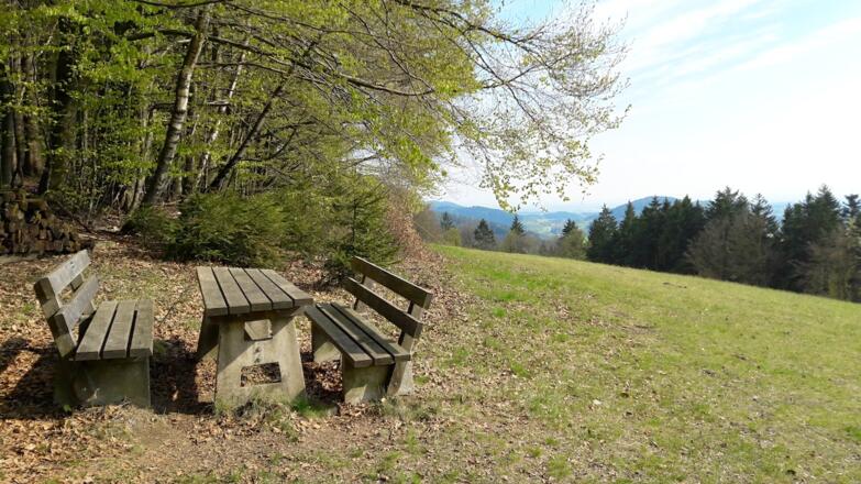 Rastplatz in Mitterberg