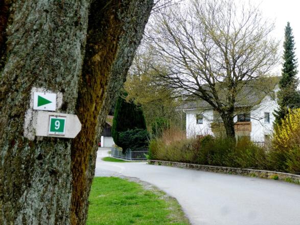 Start in Maibrunn bei der großen Linde