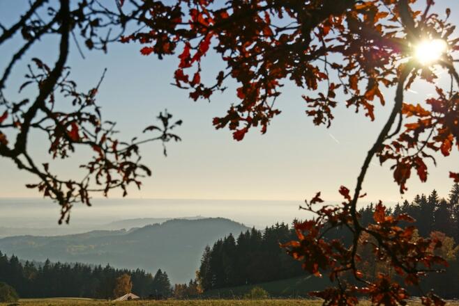 Ausblick zum Bogenberg
