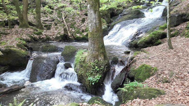 Nagelsteiner Wasserfälle