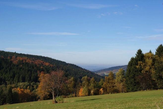 Blick vom Wanderweg nach St. Bernhard durchs Klinglbachtal
