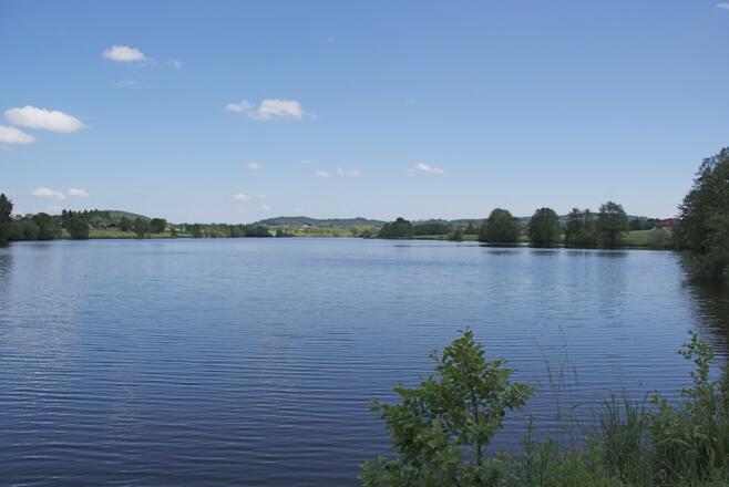 Wiesenfelden - Hammerweiher