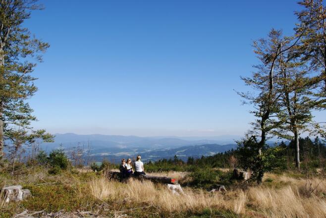 Pröllerfernsicht kurz vor dem Gipfel