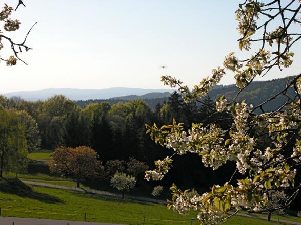 Blick vom Weg 9 nach Rettenbach