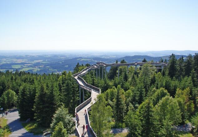 WaldWipfelWeg Maibrunn