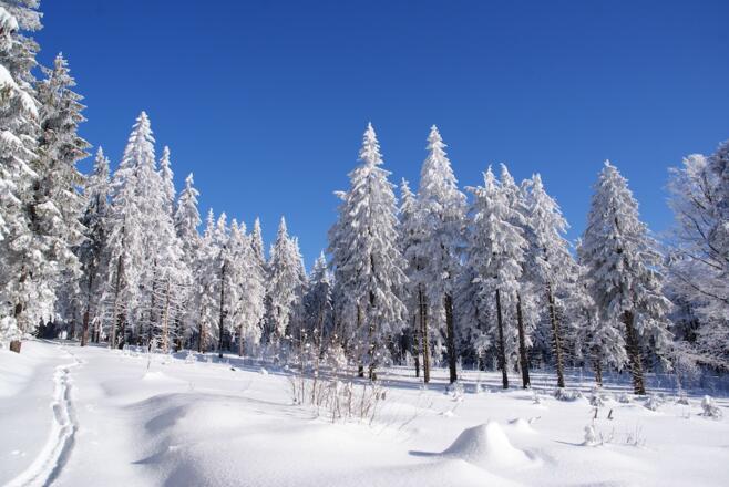 Abfahrt zur Hirschensteinloipe