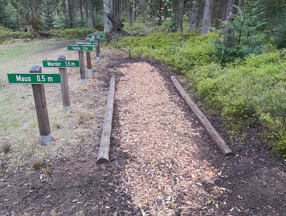 Station Weitsprunganlage