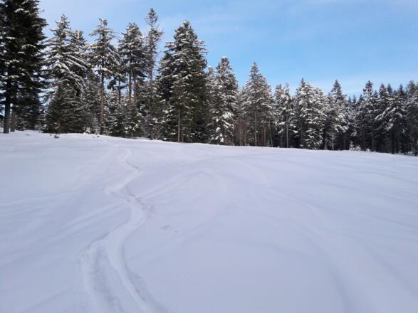 Rückschau nach kurzer Abfahrt durch 4. Wacholderheide
