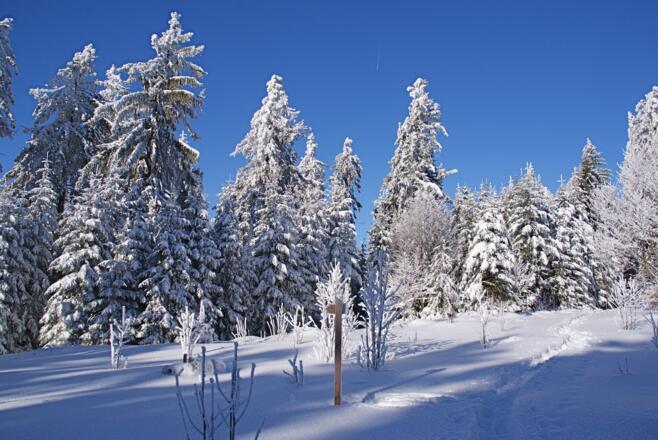 Abfahrt vom Hochberg