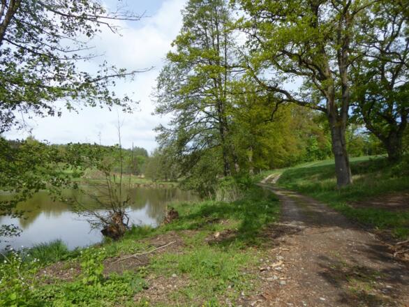 Einstieg in das Tal &quot;Tälerinn&quot; beim Schanzlweiher