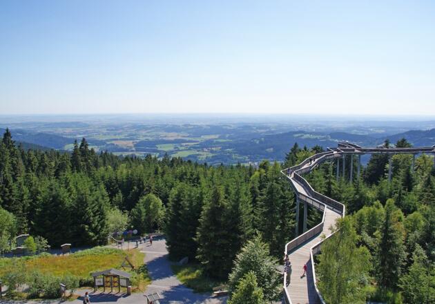 WaldWipfelWeg in Maibrunn