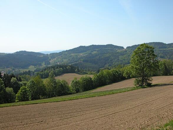 Aussicht von der Straße nach Hagnberg