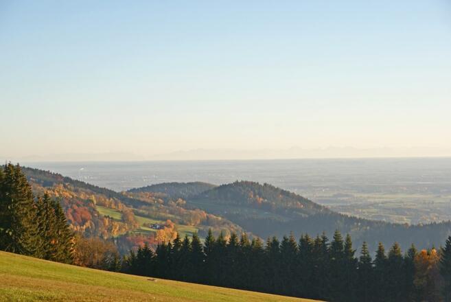 Ausblick bis zu den Alpen