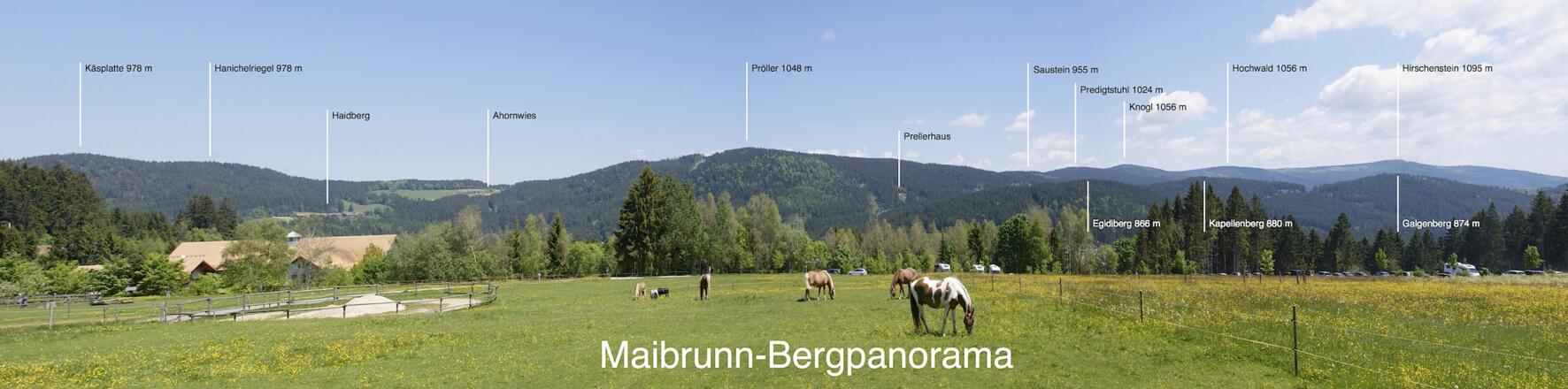 Panoramablick von Maibrunn