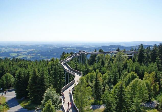 Wald-Wipfel-Weg Maibrunn
