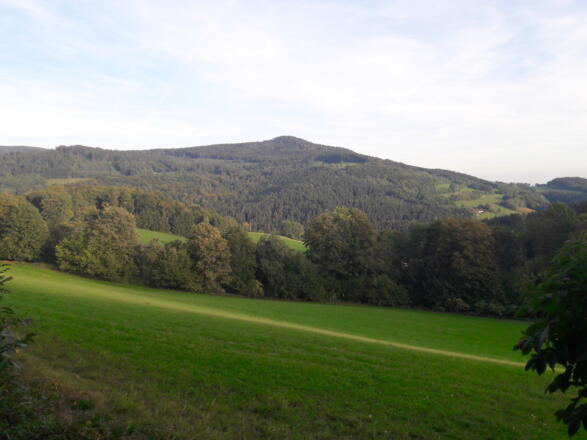 Aussicht nach Reisach zum Schopf