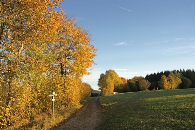 Weg am sog. &quot;Bohannes&quot;