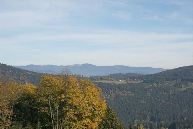Blick zum Großen Arber von Riedelswald