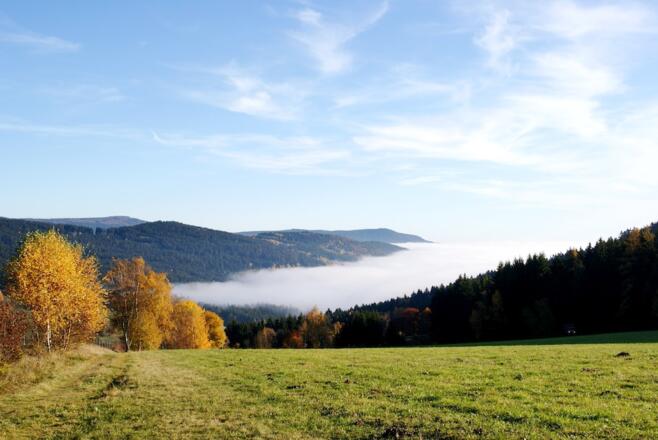 Weg nach Grün bei Inversionswetterlage