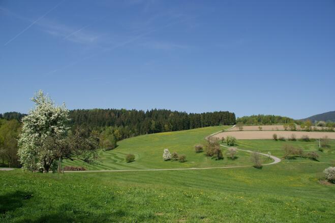 Weg/Nebenstraße von Sparr nach Autsdorf