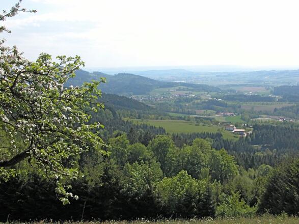 Aussicht von Hagnberg